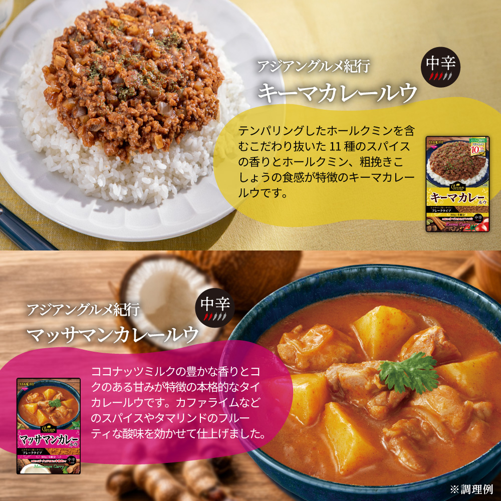 アジアングルメ紀行ルウ紹介画像3